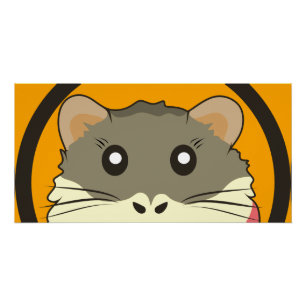 Niedliches Hamstergesicht mit farbigem Fell: Tierl Poster