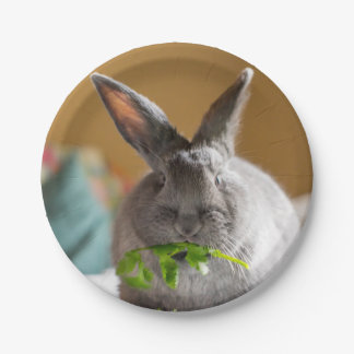 Niedliches Häschen-Kaninchen, das Pappteller