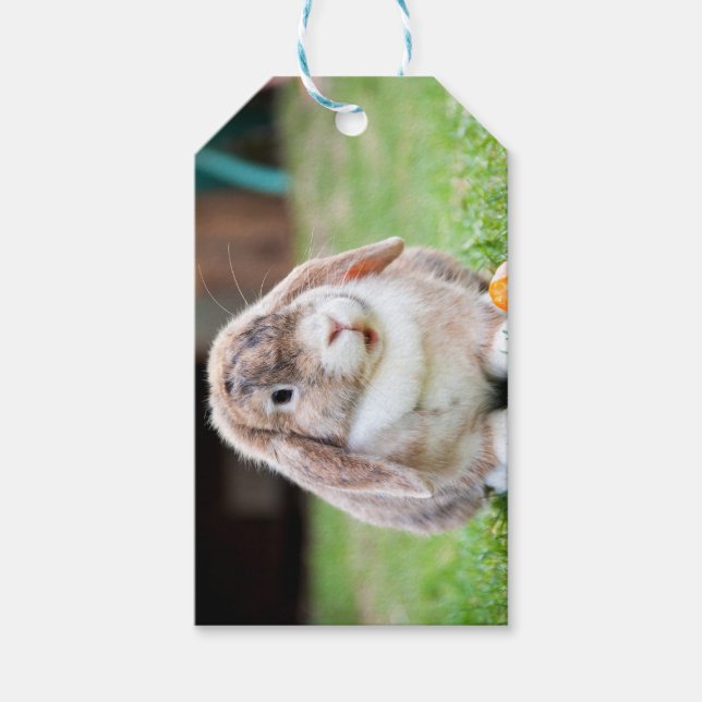 Niedliches Hasen Geschenkanhänger (Vorderseite)