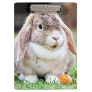 Niedliches Hasen Klemmbrett