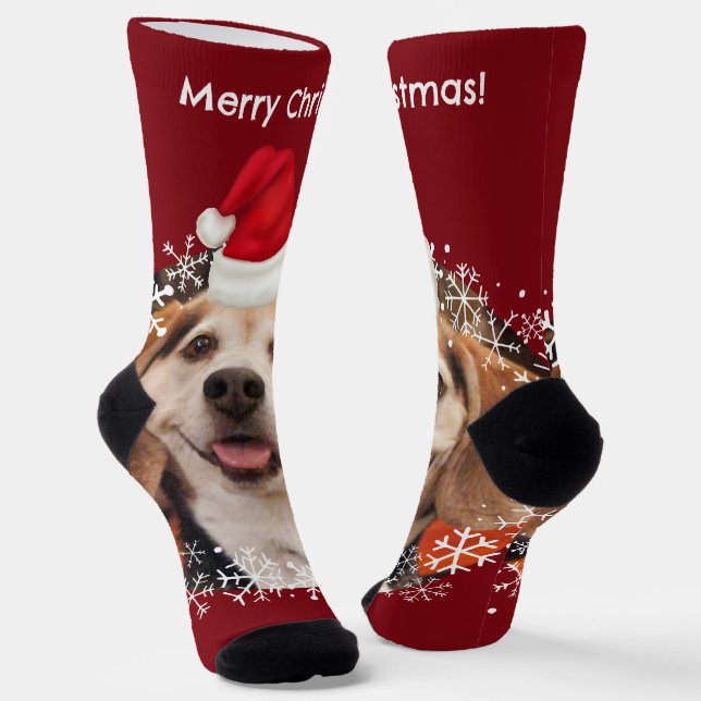 Niedliches Haustier Foto Rote Weihnachtsmannmütze  Socken (Gewinkelt)