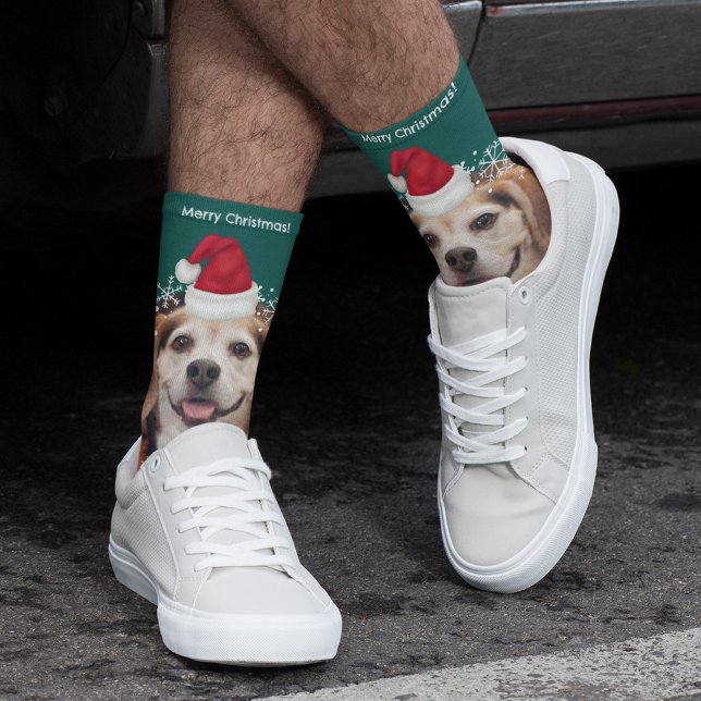 Niedliches Haustier Foto Weihnachtsmannmütze Grün  Socken (Von Creator hochgeladen)