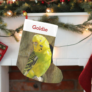 Niedliches Haustier-Vogel-Liebhaber-Foto und Name Kleiner Weihnachtsstrumpf