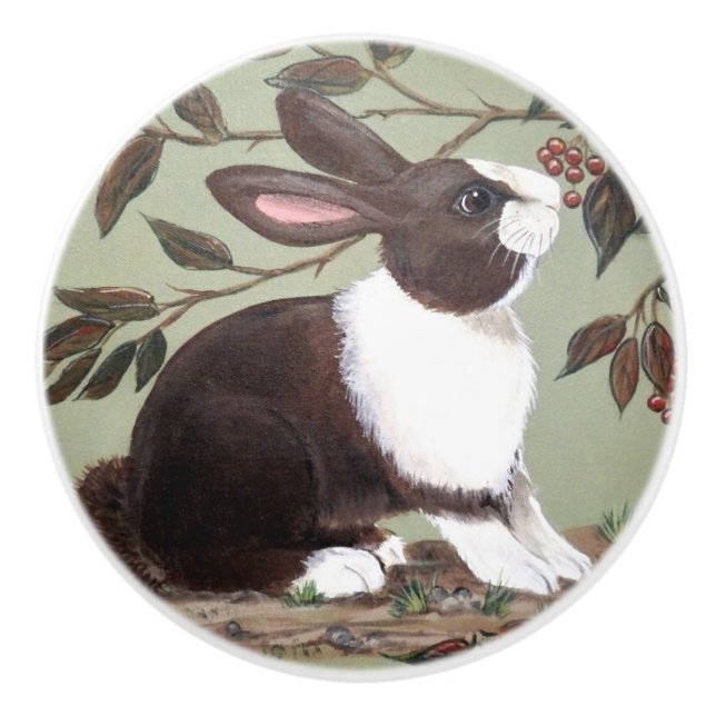 Niedliches holländisches Kaninchen Bunny Sage Wood Keramikknauf (Vorderseite)