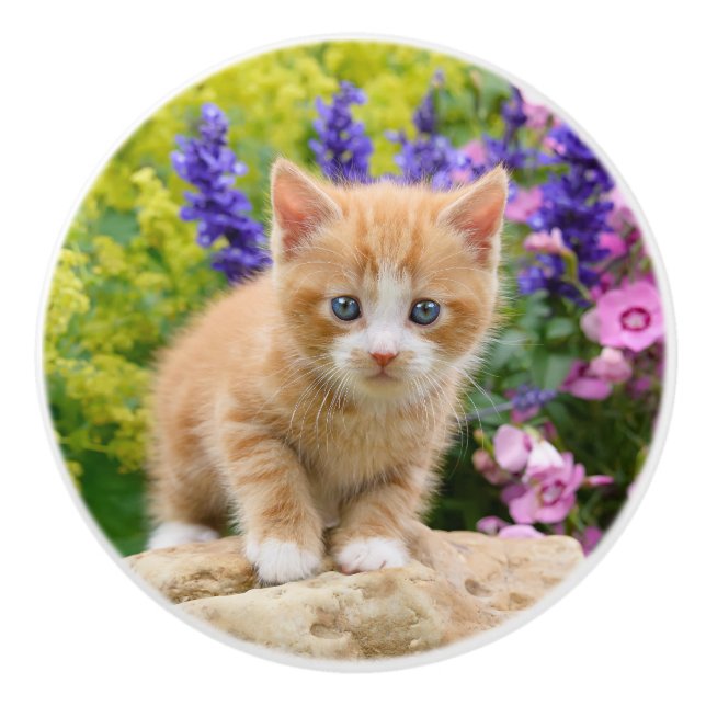 Niedliches Ingwer-Katzen-Kätzchen in den Blumen - Keramikknauf (Vorderseite)