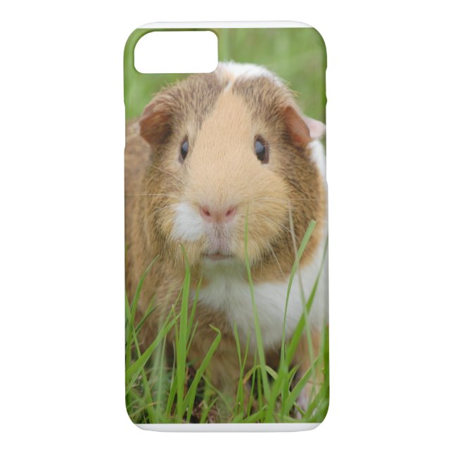 Niedliches inländisches Meerschweinchen Case-Mate iPhone Hülle (Rückseite)