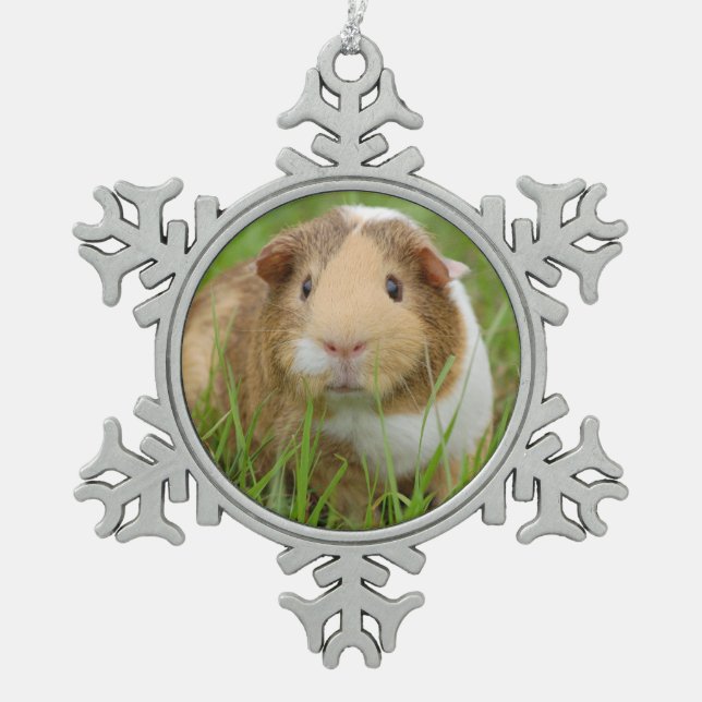 Niedliches inländisches Meerschweinchen Schneeflocken Zinn-Ornament (Vorderseite)