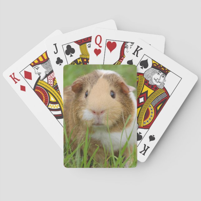 Niedliches inländisches Meerschweinchen Spielkarten (Rückseite)