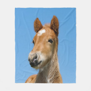 Niedliches isländisches Pferdefoal Pony Head Front Fleecedecke