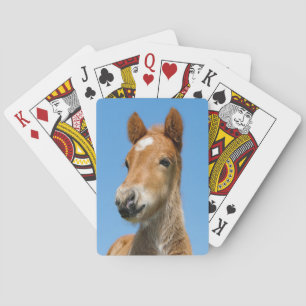 Niedliches isländisches Pferdefoalpony-Head-Foto — Spielkarten