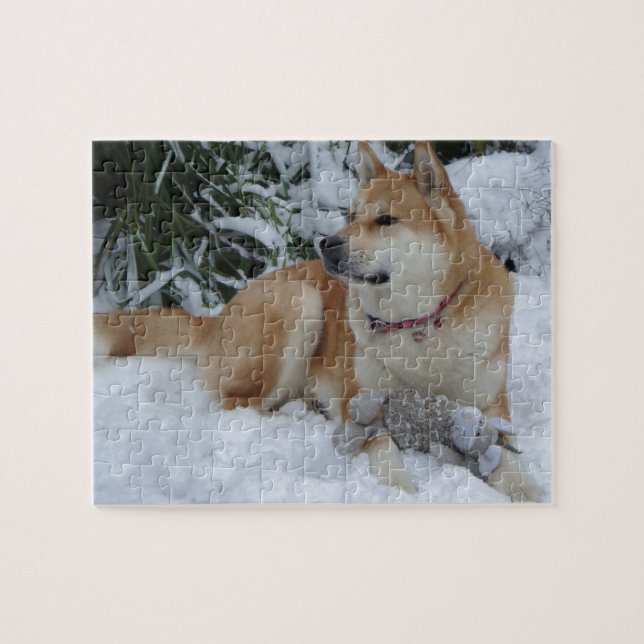 Niedliches japanisches akita im Schnee mit grauer  (Horizontal)