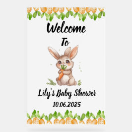 Niedliches Kaninchen Babyduschzeichen Acrylschild