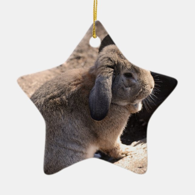 Niedliches Kaninchen Keramik Ornament (Vorne)