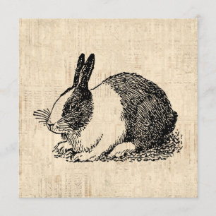 Niedliches Kaninchen Vintage Tierart Illustration Einladung