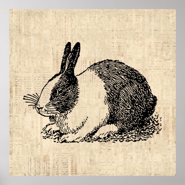 Niedliches Kaninchen Vintage Tierart Poster (Vorne)