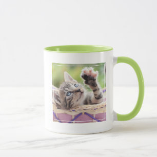 Niedliches Kätzchen, das im Korb spielt Tasse