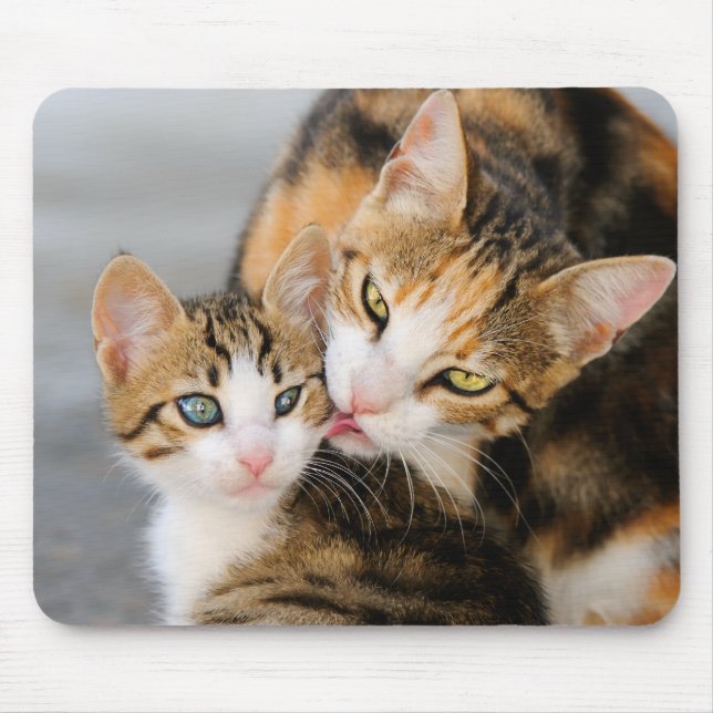 Niedliches Kätzchen der Mutterkatzen-Lieben Mousepad (Vorne)