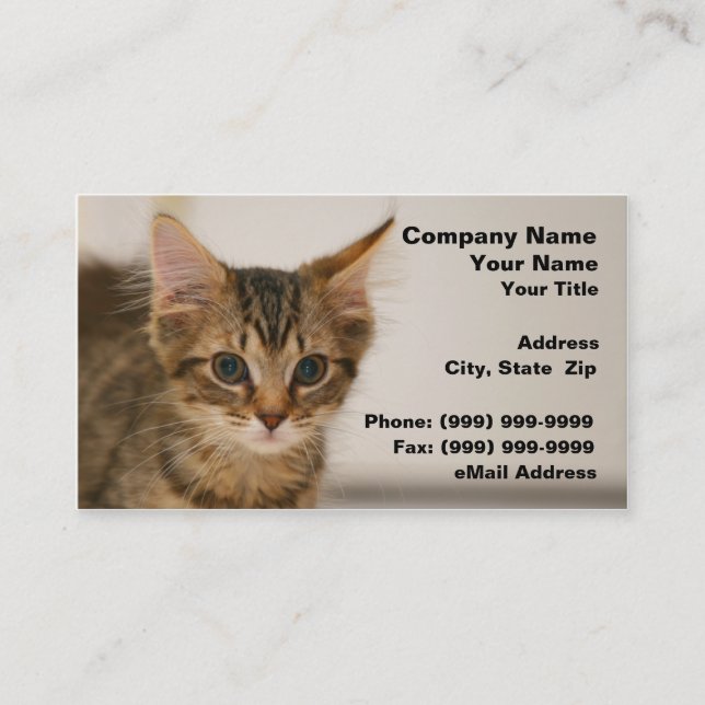 Niedliches Kätzchen gegen einen elfenbeinfarbenen Visitenkarte (Vorderseite)