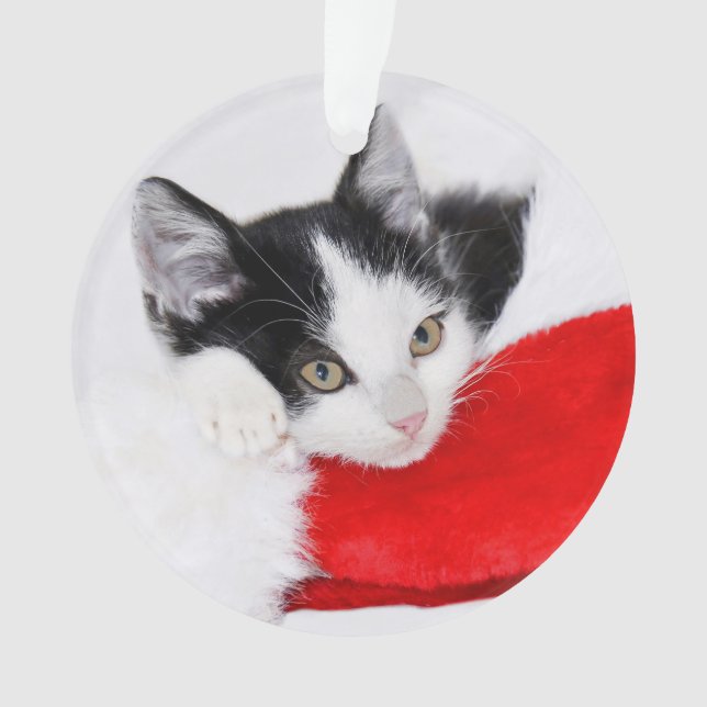 Niedliches Kätzchen in der Weihnachtsmannmütze Ornament (Vorderseite)