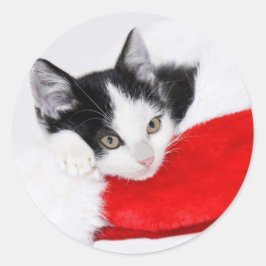 Niedliches Kätzchen in der Weihnachtsmannmütze Runder Aufkleber