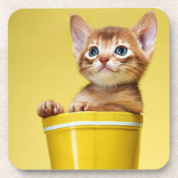 Niedliches Kätzchen in gelbem Eimer