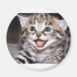 Niedliches Kätzchen Magnet