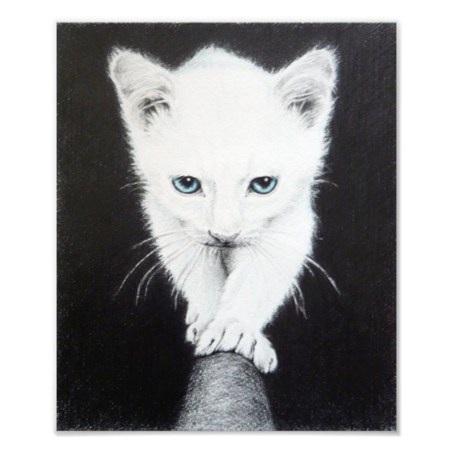 Niedliches Kätzchen Tier zeichnend Kunst Katzen Li Fotodruck (Vorne)