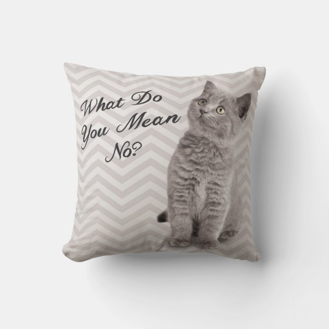 Niedliches Katzen-Kissen Kissen (Vorderseite)