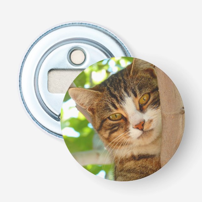 Niedliches Katzen Klettern Flaschenöffner (Vorderseite)
