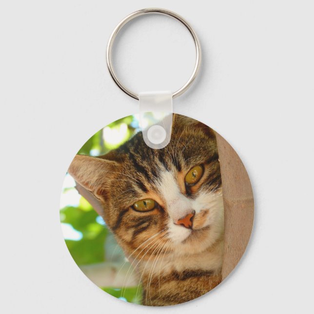 Niedliches Katzen Klettern Schlüsselanhänger (Vorderseite)