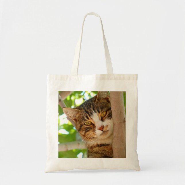Niedliches Katzen Klettern Tragetasche (Vorne)