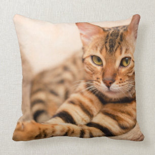Niedliches Katzen-Polyesterthrow-Kissen 20" x 20" Kissen