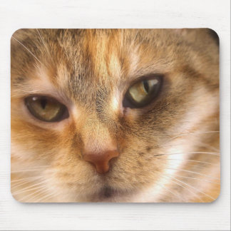 niedliches Katzengesicht 3 Mousepad