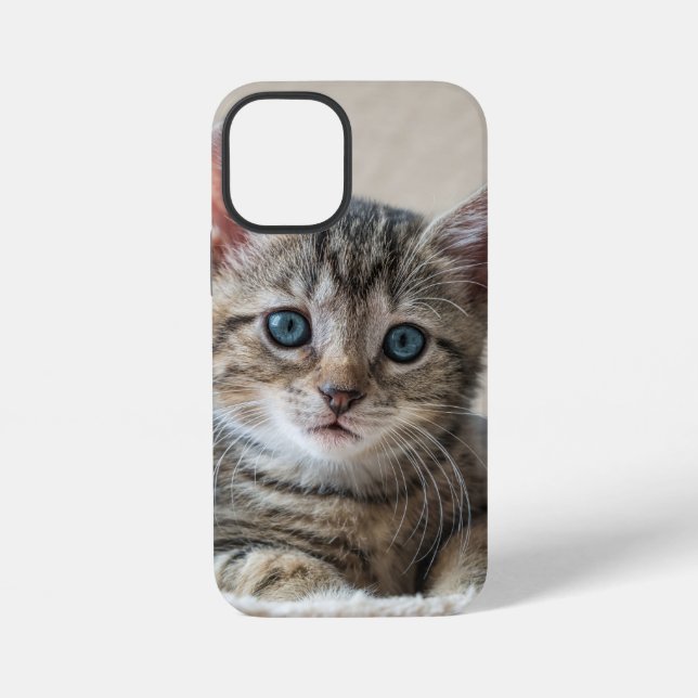 Niedliches Katzengesicht iPhone 12 Mini Hülle (Rückseite)