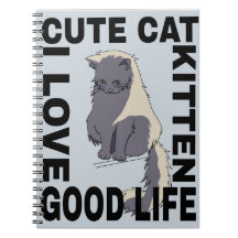 Niedliches Katzenleben