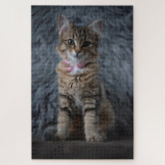 Niedliches Katzenportrait, 1014 Stück