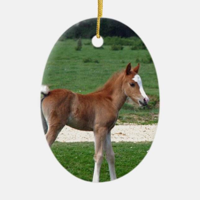 Niedliches Keramikornament (Vorne)