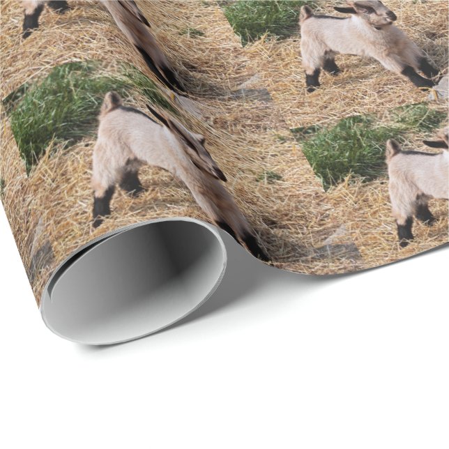 Niedliches Kid Wrapping Papier Geschenkpapier (Rolleneckpunkt)