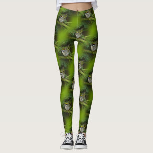 Niedliches Kinglet Songbird verursacht eine Stir i Leggings