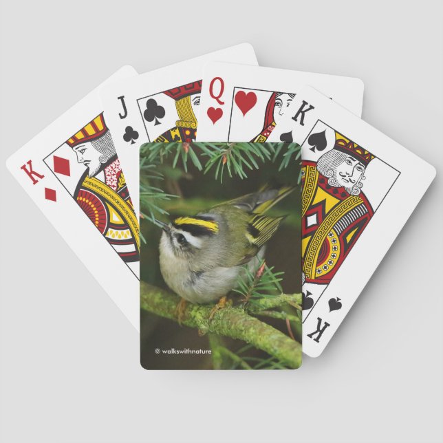 Niedliches Kinglet Songbird verursacht eine Stir i Spielkarten (Rückseite)