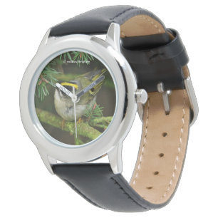 Niedliches Kinglet Songbird verursacht Stir in der Armbanduhr