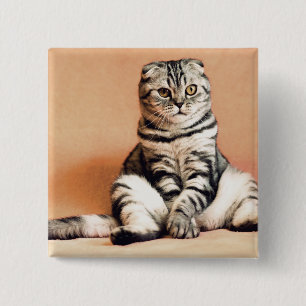 Niedliches Kitten ausgespült Button