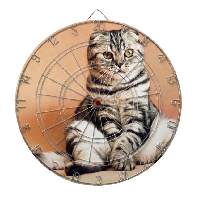 Niedliches Kitten ausgespült Dartscheibe (vorne)