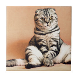 Niedliches Kitten ausgespült Fliese