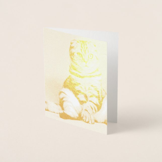 Niedliches Kitten ausgespült Folienkarte (Vorderseite)