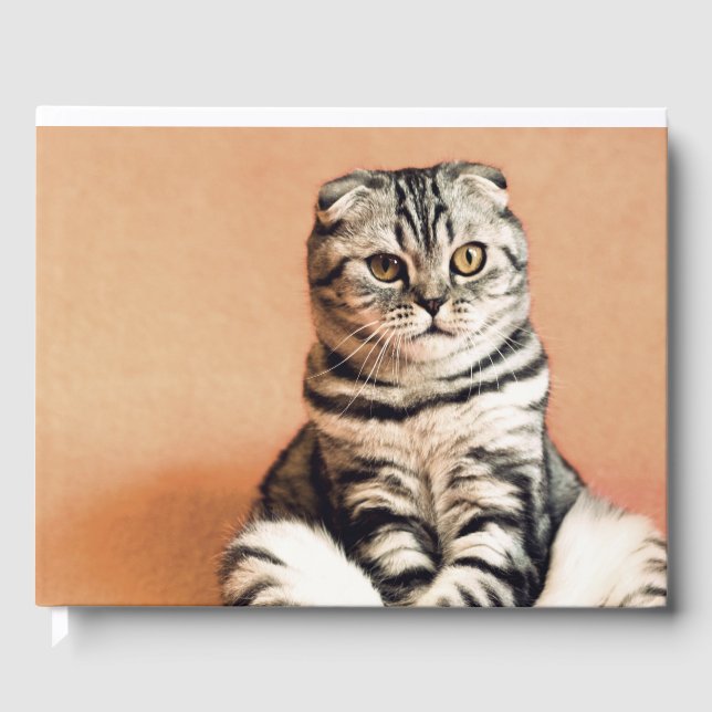 Niedliches Kitten ausgespült Gästebuch (Vorderseite)