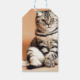 Niedliches Kitten ausgespült Geschenkanhänger
