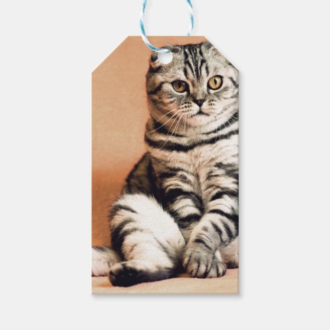 Niedliches Kitten ausgespült Geschenkanhänger (Vorderseite)