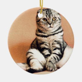 Niedliches Kitten ausgespült Keramik Ornament