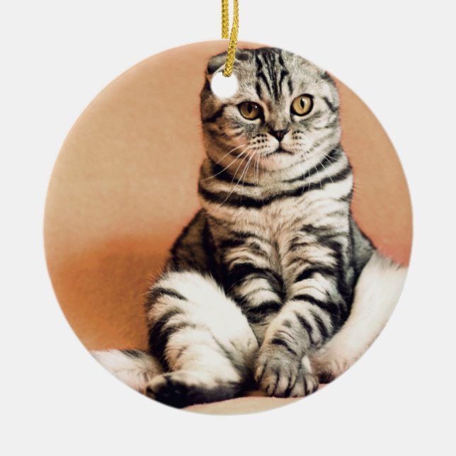 Niedliches Kitten ausgespült Keramik Ornament (Vorne)